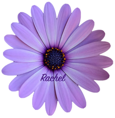 Purple daisy signature, gifted me by Lilli.