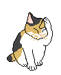 Animated Calico Cat