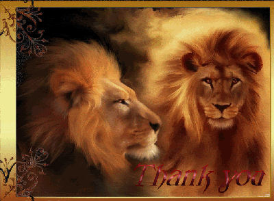 Lions Thank You cNote