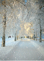 A winter scene with falling snow