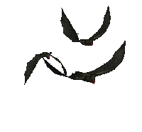 Flying Bats